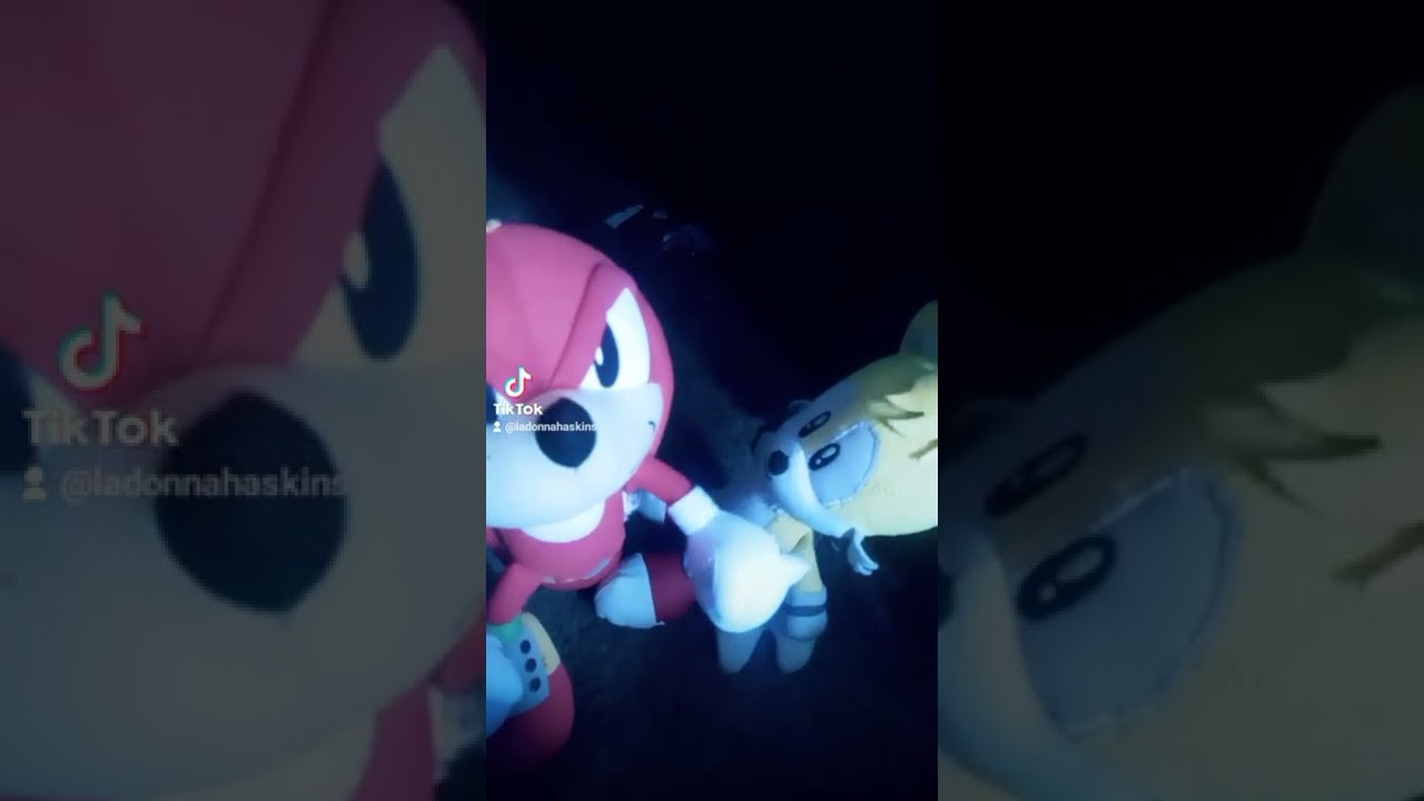 knuckles makes tails cry