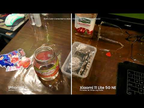 Xiaomi 11 Lite G NE VS iPhone 8+ | Camera Comparison