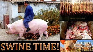 Why Eating Pigs Causes Brain Worms, Cancer, and Disease!