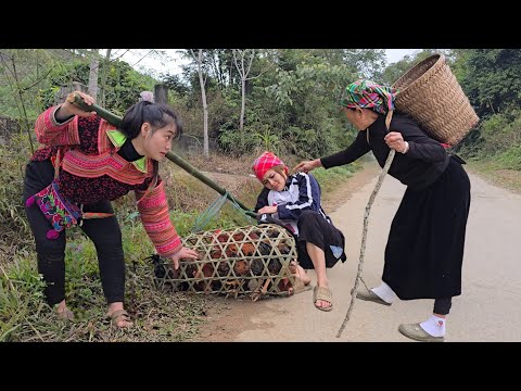 The Compassionate Heart of a Single Mother: Selling Chickens to Buy Clothes for the Homeless