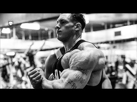 BAD WOLF 🐺 - Caike Pro