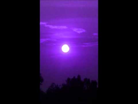 Bernocchi Laswell Kondo - Changed