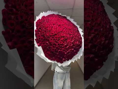 501 Pcs Rose Bouquet