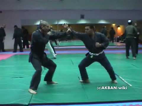 3.4 - Koto Ryu TAIJUTSU - Koppojutsu  - Shoden Gata  - Kako no kata