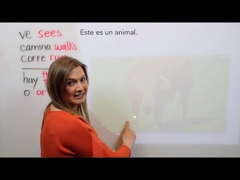 How Slow Can You Go? - Pacing to maximize comprehension in language classes