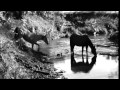 "How Long" official video by Bradley Hathaway ...