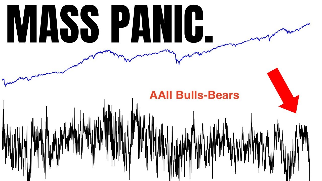 We Have Never Seen Anything Like This...