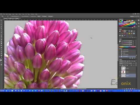 Adobe Photoshop Tutorial 5 - Modify Selections