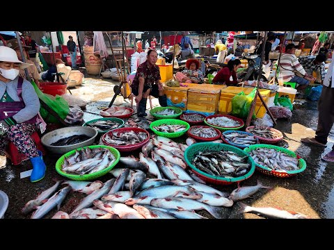 Walking Through Cambodia’s Morning Wet Market  Fresh Fish, Meat & Street Food Tour