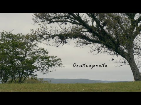 Contraponto - Documentário (LIBRAS)