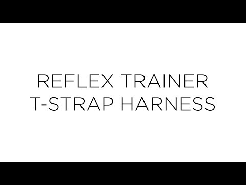 Pup Crew Pro Reflex Trainer Harness | Mission Pets