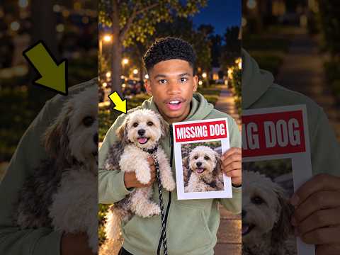 HE found a MISSING DOG for $15,000🐶💸#reaction #shortsfeed #youtubeshorts #cringe #comedy