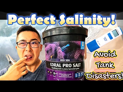 Perfect Salinity for Reef Tanks Revealed! 🌊