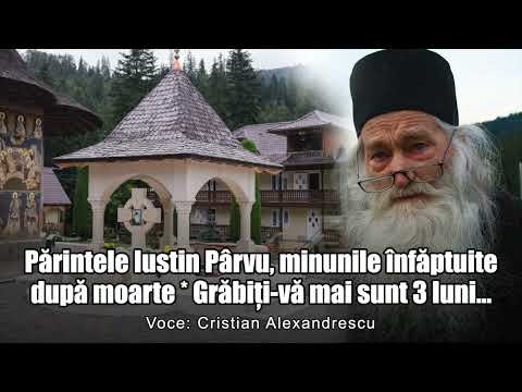 Father Iustin Parvu, Miracles Performed After Death * Hurry Up, There Are Only 3 Months Left...