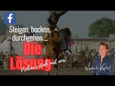 Steigen, Bocken, Durchgehen - die Lösung!