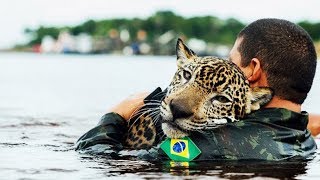 10 RESCATES DE ANIMALES MÁS INSPIRADORES