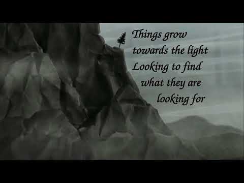 Untitled Grasses Grow - A Fine Frenzy