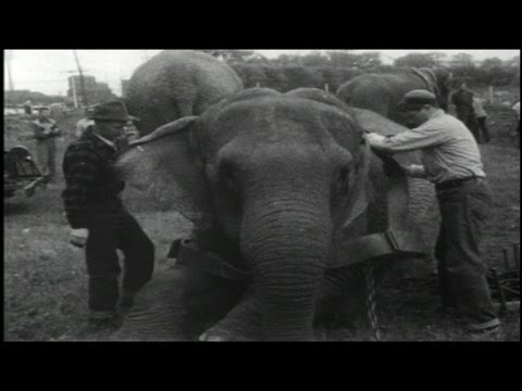 WATCH: Ringling Bros. circus visits a small Canadian town in July 1955