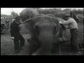 WATCH Ringling Bros Circus Visits A Small Canadian Town In July 1955