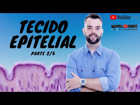 Tecido Epitelial - Parte 2/5: Especializações Basoleterais da Célula Epitelial
