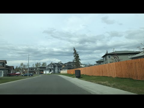 Drive to Moose’s Tooth Pub for Pizza!  - Anchorage Alaska