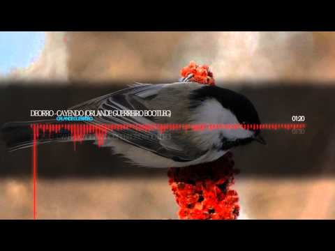 Deorro - Cayendo (Orlande Guerreiro Bootleg)