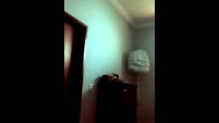 PARDO 251 TEMPORADA 2014/2015