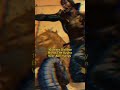 Shorts Veer Abhimanyu Mahabharat Status Krishna Fear Youtubeshorts L Creative Creator Trend