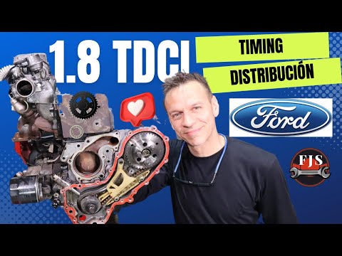 Ford 1.8 Tdci. Duratorq. Wet timing belt. Mondeo, C-Max, Focus, Transit, Detailed Tutorial.
