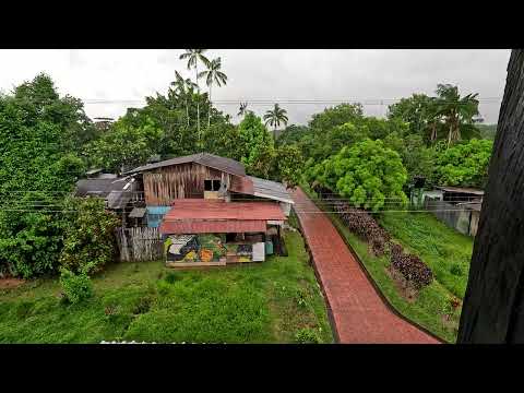Plus Ultra Puerto Nariño, Amazonas, Mirador