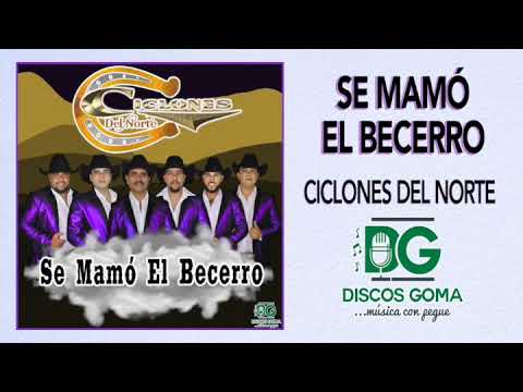 Ciclones del Norte-Se Mamó El Becerro [Audio Oficial]