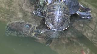 HÍREK A TERMÉSZETBŐL