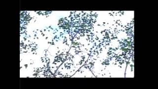 Download lagu Dubhag Rati Oi Nasoni Muloi Monot Pore Ne /Fast Bihu song Zubeen Garg Assames Old Bihu song Zubeen mp3