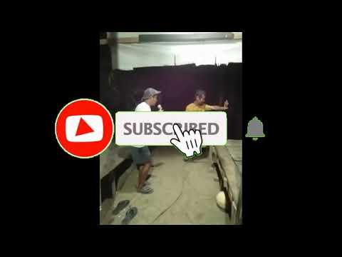 PERTEDEH - COVER TAH POLNANG