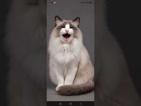 Hi Pet – Virtual Pet Companion