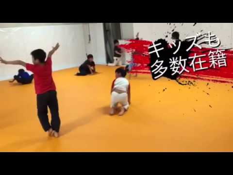 格闘技ジム　スプラッシュ　コマーシャル