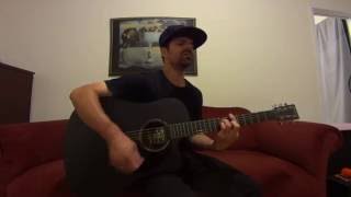 The Hunter (The Red Hot Chili Peppers) acoustic cover by Joel Goguen