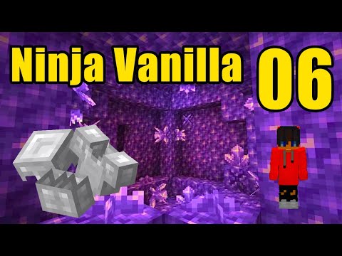 Ho trovato l'ametista! - Ninja vanilla 06