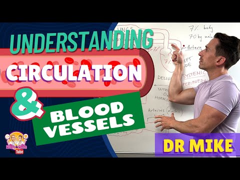 Understanding Circulation and Blood Vessels