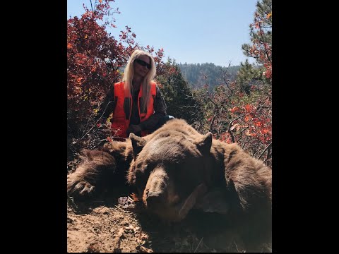 2020 Arizona Black Bear Hunt