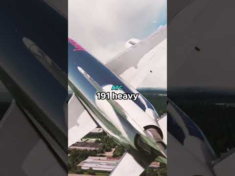 Engine Torn Off: American Airlines 191