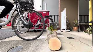 ビビチャージ 障害物乗り越えテスト(前輪駆動)