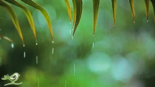 Relaxing Piano Music &amp; Rain Sounds 24/7