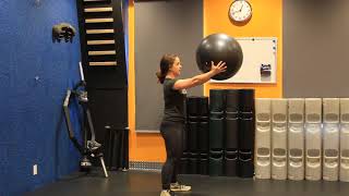 Swiss Ball - Plate Squat Hold - Holding Swiss Ball