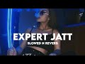 Expert Jatt (Slowed n Reverb)