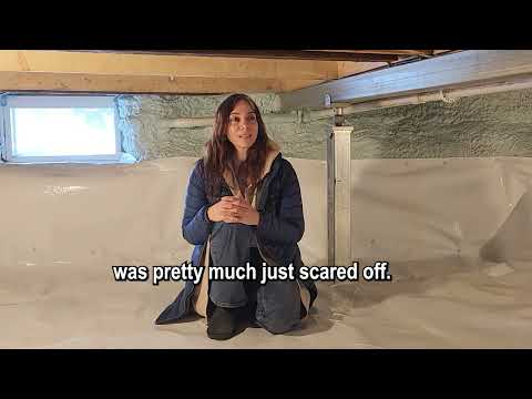 Sabrina's Candid Thoughts on Basement Systems Of New York - Rhinebeck, NY: An Inside Look