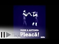 VUNK feat Antonia - Pleaca 