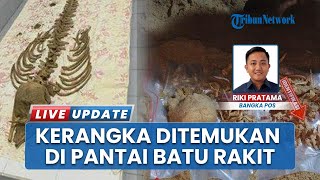 Heboh Temuan Tengkorak di Pantai Batu Rakit, Ternyata Kerangka Hewan Laut Diduga Lumba-lumba