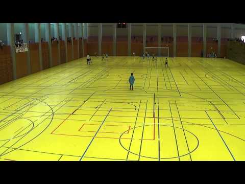 BSC Old Boys U12 - Team Zugerland A 22.02.2015