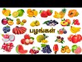 பழங்களின் பெயர்கள் Learn Fruits Names In Tamil And English பழ�
